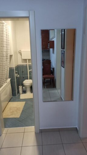 Сдается 2-к квартира, 45 кв.м в Нови-Саде, #1030_11