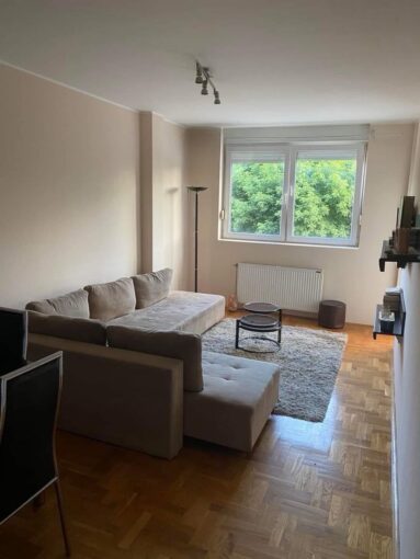 Сдается 3-к квартира, 55 кв.м в Нови-Саде, #1053__1