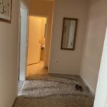 Сдается 3-к квартира, 55 кв.м в Нови-Саде, #1053__4