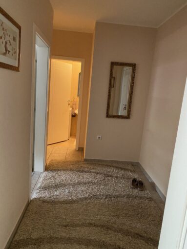 Сдается 3-к квартира, 55 кв.м в Нови-Саде, #1053__4