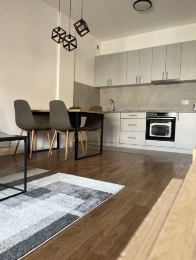 Сдается новая 2-к люкс-квартира 48 кв.м в Нови-Саде, #1060_3