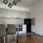 Сдается новая 2-к люкс-квартира 48 кв.м в Нови-Саде, #1060_5