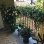 Сдается красивая квартира-студия, 28 кв.м в центре Нови-Сада, #1068_9