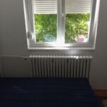 Сдается 2-к квартира, 39 кв.м в Нови-Саде, Детелинара, #1081_1