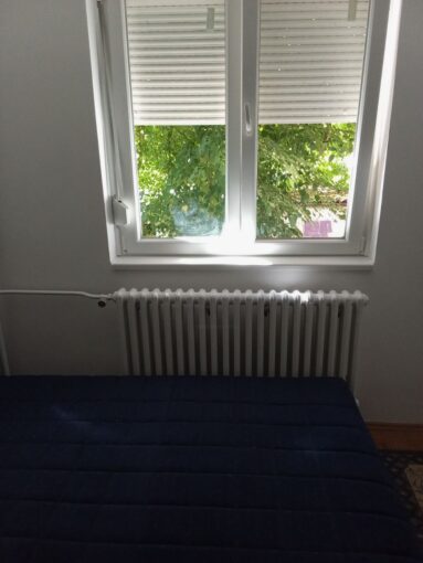 Сдается 2-к квартира, 39 кв.м в Нови-Саде, Детелинара, #1081_1