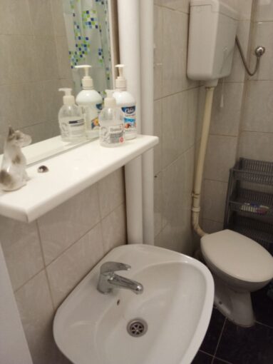Сдается 2-к квартира, 39 кв.м в Нови-Саде, Детелинара, #1081_9