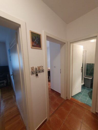 Сдается 3-к квартира, 54 кв.м рядом с центром Нови-Сада, #1083_10