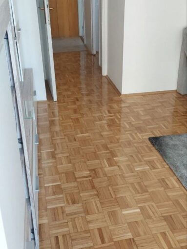 🐱 Сдается 3-к квартира, 57 кв.м в Нови-Саде, Лиман 4, #1681_3