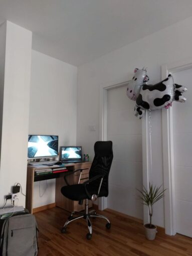 Сдается 2-к квартира, 39 кв.м в Нови-Саде, Подбара, #1689_3