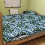 Сдается 2-к квартира, 44 кв.м в Нови-Саде, Нова Детелинара, #1801_4