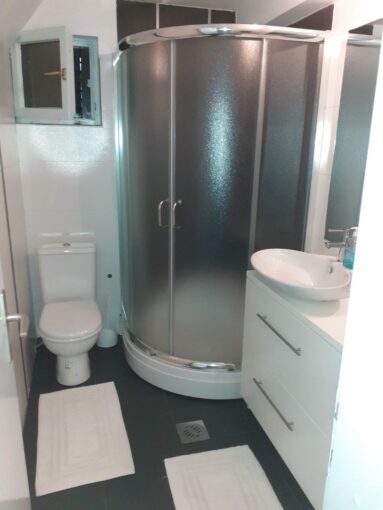 Продается 3-эт. дом 330 кв.м, 5-комн в Нови-Саде, Телеп, #1236_5