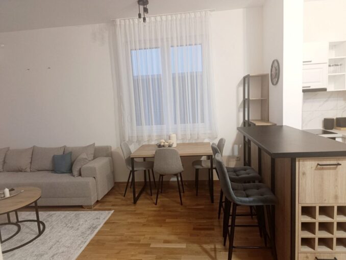 Сдается 2-к квартира, 44 кв.м в Нови-Саде, Лиман, #1822_4