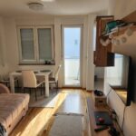 Продается 3-к квартира, 46 кв.м в Петроварадине (пригород Нови-Сада), #1158_1