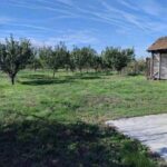 Продается дом 106 кв.м в 12 км от Суботицы, #1237_1