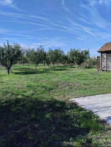 Продается дом 106 кв.м в 12 км от Суботицы, #1237_1