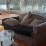 Продается 3-к квартира, 63 кв.м в Нови-Саде, Грбавица, #1159_8