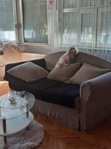 Продается 3-к квартира, 63 кв.м в Нови-Саде, Грбавица, #1159_8