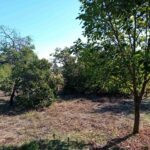 Продается дом, 115 кв.м недалеко от Суботицы, #1240_7