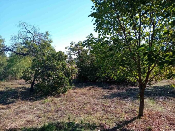 Продается дом, 115 кв.м недалеко от Суботицы, #1240_7