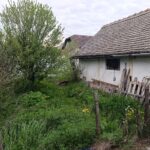 Продается 2-к дом, 63 кв.м + 30 кв.м в 45 км от Нови-Сада, #1241_2