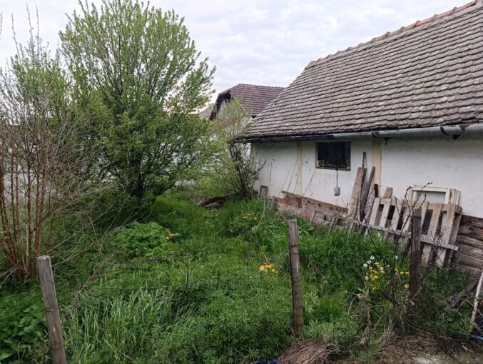 Продается 2-к дом, 63 кв.м + 30 кв.м в 45 км от Нови-Сада, #1241_2