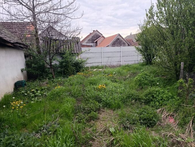 Продается 2-к дом, 63 кв.м + 30 кв.м в 45 км от Нови-Сада, #1241_3