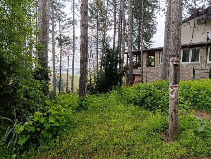 Продается туристический объект площадью 850 кв.м в Сремской Каменице, #1242_1