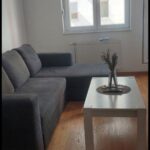 Сдается 2-к квартира, 42 кв.м в Нови-Саде, Краљев Парк, #1852_2