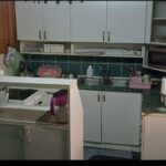 Продается дом 40 кв.м+54 кв.м рядом с Бачка Паланкой, #1243_8