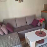 🐶🐱 Сдается 2-к квартира, 35 кв.м в Нови-Саде, Нова Детелинара, #1858_1