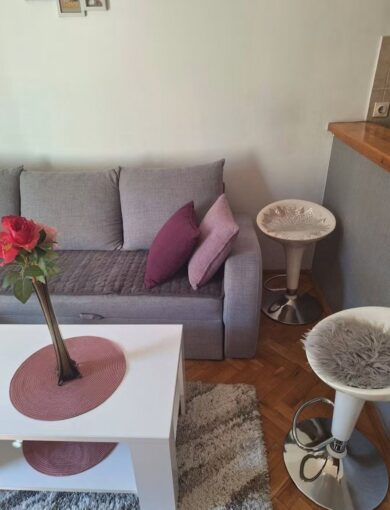 🐶🐱 Сдается 2-к квартира, 35 кв.м в Нови-Саде, Нова Детелинара, #1858_7