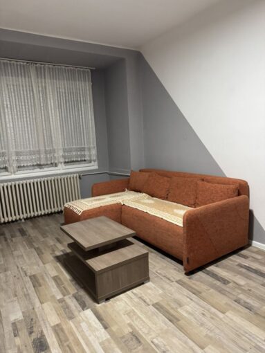 🐶🐱 Сдается 1-к квартира, 31 кв.м в Нови-Саде, Центр, #1865_10