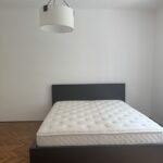 🐶🐱 Сдается 3-к квартира, 105 кв.м в центре Нови-Сада, #1868_6