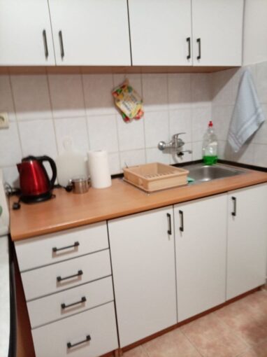 Сдается 1-к квартира-студия, 25 кв.м в центре Нови-Сада, #1869_3