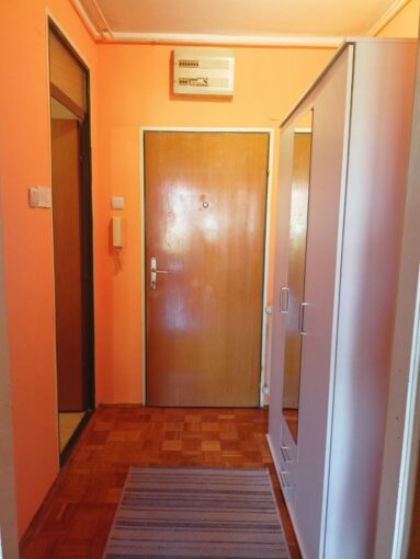 Сдается 1-к квартира, 28 кв.м в Нови-Саде, Ново Насеље, #1871_3