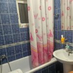 Сдается 1-к квартира, 26 кв.м в Нови-Саде, Нова Детелинара, #1882_5