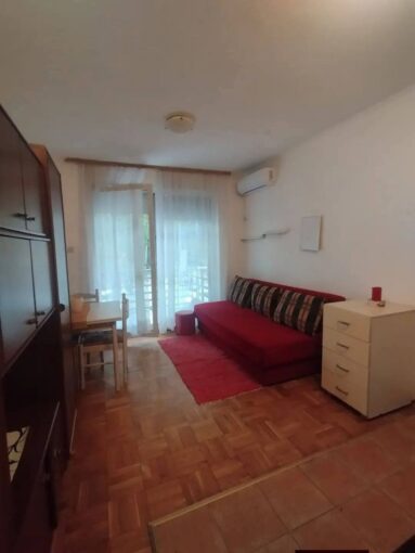 Сдается 1-к квартира, 27 кв.м в Нови-Саде, #1891_2