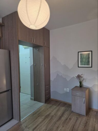 Продается 1-к квартира, 24 кв.м в Нови-Саде, Ново Насеље, #1189_8
