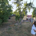 Продается дом, 54 + 15 кв.м, в 35 км от Нови-Сада, #1250_6