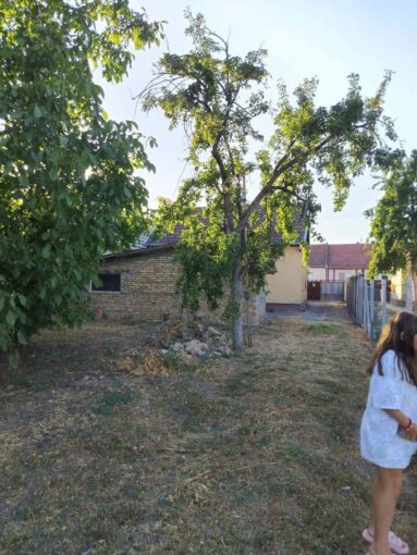 Продается дом, 54 + 15 кв.м, в 35 км от Нови-Сада, #1250_6